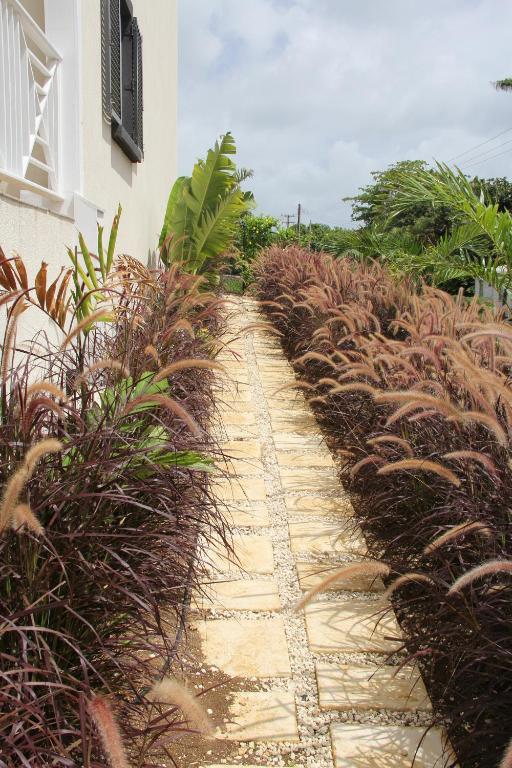 Lantana Resort Barbados By Island Villas Saint James Eksteriør bilde